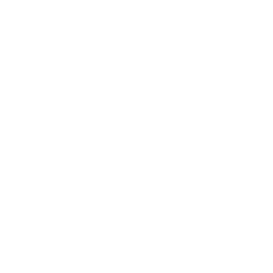 AcuityAds Holdings Inc. logo