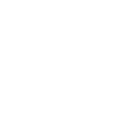 Bright Scholar Education Holdings Limited logo