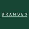 Brandes Emerging Markets Value Fund Class I logo
