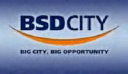 BSDE.JK