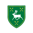 Hall Chadwick Acquisition Corp. logo
