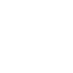 Rapid Micro Biosystems, Inc. logo