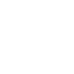 Shoulder Innovations, Inc. logo
