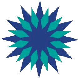 Universe Pharmaceuticals Inc. logo