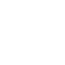 Twin Vee Powercats Co. logo